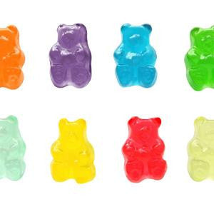 1lb Bag of Gummi Bears